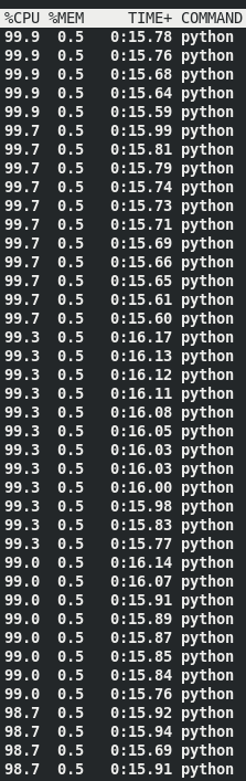 Chunk Parallel CPU Usage